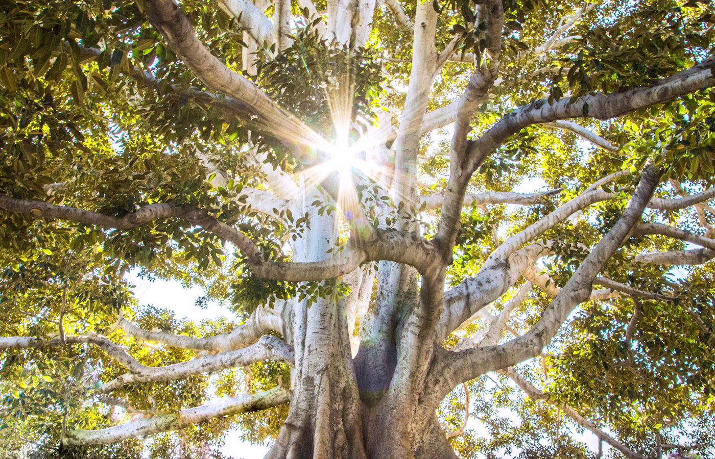 Сон и восстановление для предпринимателя